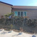 퐁낭에염 이미지