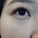 [2026년 상반기 결혼 준비] 웨딩로그 - 내돈내산 라망 스튜디오 웨딩 촬영 후기