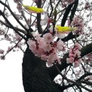 천만공인중개사사무소 이미지