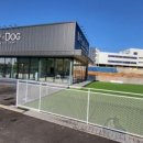 플레이독 파주본점 이미지