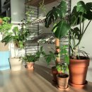 주방&식당 이미지