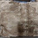 민숙농장 | [농라] 민숙농장 - 오이