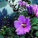 위대한밥상 이미지