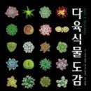 시온꽃집 - 구미시 인동25길 7 | 시온꽃집