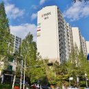 분당-391 이미지