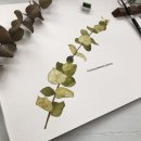 [주말] 캘리그라피 이미지