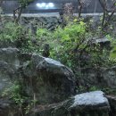 중원대로 이미지