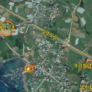 동일리-7 이미지