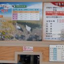 강촌우렁이