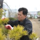 천안농원 이미지