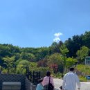 일월이일 | 자유롭게 여행 다니면서 ,7일간 13OO만원♥(+4일동안 월급 번 교육생 후기까지!)