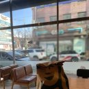 멍멍사우나 이미지