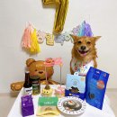 댕쏘스윗 이미지