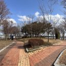 김제 만경능제저수지 산책