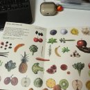 씨드요가 | 플랜트바이씨드 P-180 챌린지 최종 선정 멀티그린즈 스타터키트 언박싱 1