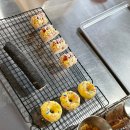 뽀뽀하니 이미지