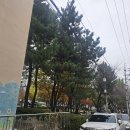 수정경로당 이미지