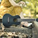 반려악기 우쿨렐레 이미지