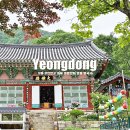 영동교육청 앞 | 5월 갈만한곳 충북 유명한절 영동 천태산 영국사