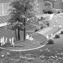 동천초등학교 이미지