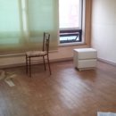 논현애견샾 이미지