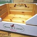 도그하우스 이미지