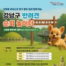 댕댕이를 부탁해 이미지