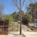 애막골 등산로 입구 이미지