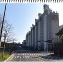 양덕동115 이미지