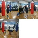 한국체대 복싱클럽 이미지