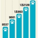 [2021-04-29 / 한국경제 ] 멍냥이 입맛 잡아라"…펫푸드에 꽂힌 식품社 이미지