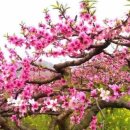 생명예찬2 이미지