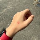 [단기과정 2차]미니하프(1년) | 매번 그렇게, 잘, 행복하게