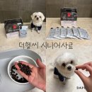 (주)파워소프트 | 강아지 가수분해 저알러지 소프트사료 더헬씨 시니어 노령견 사료