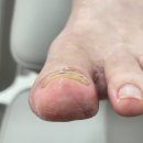 네일투게더 네이버블로그