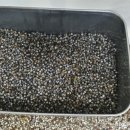 전통재첩국 이미지