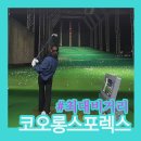 노블스포렉스골프연습장 | 서울시 최대 비거리 인도어｜코오롱스포렉스 용답점 300m 실외 골프연습장 후기