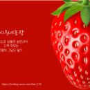 시우네농장 네이버블로그