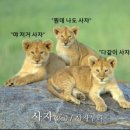 디웨이브(주) 이미지