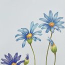 보타니칼아트 이미지