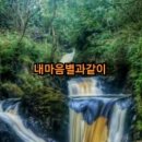 행복한 아침 이미지