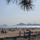 비치-그린아파트 이미지