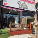 염진 | 대전 반석동 치킨 맛집, 오늘닭강정 염지 안한 치킨 솔직후기 (간장/매콤)