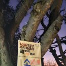 대일통닭 | 수원 일출 명소 추천 서장대 with 뜻밖의 친구들