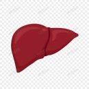 바디공간 이미지