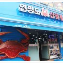 연평도꽃게낙지