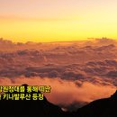 경기 의수족 보조기 네이버블로그