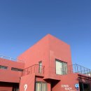 세화스테이 | 제주 숙소 추천 세화비치스테이 제주 게스트하우스 퀸베드룸 숙박 후기