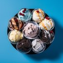 마리앤라인의원 | 몬트리올여행 10만원대 가성비 호텔 추천 베스트 웨스턴 빌마리 몬트리올 호텔 앤 스위트