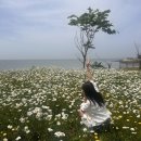 부안 촌캉스 이미지